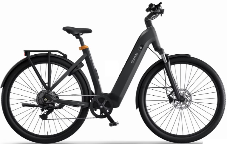 Ecoride Tripper 4 Låg M/L Svart Navmotor