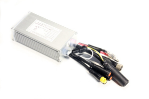 Ecoride Kontrollbox 20tum 2015 LSW1108-8-4F