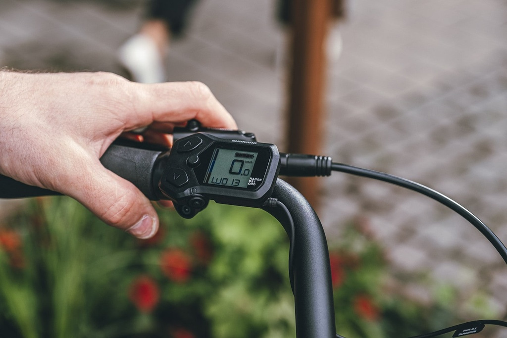 Ecoride Ambassador AXS M-5 E5 28 tum Svart