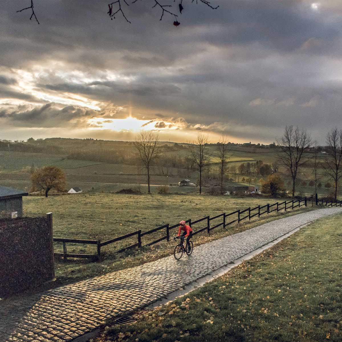 GripGrab Merino Regular Cut Sock Black