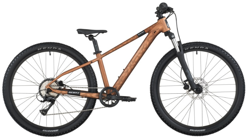 Scott Roxter 600 Brun