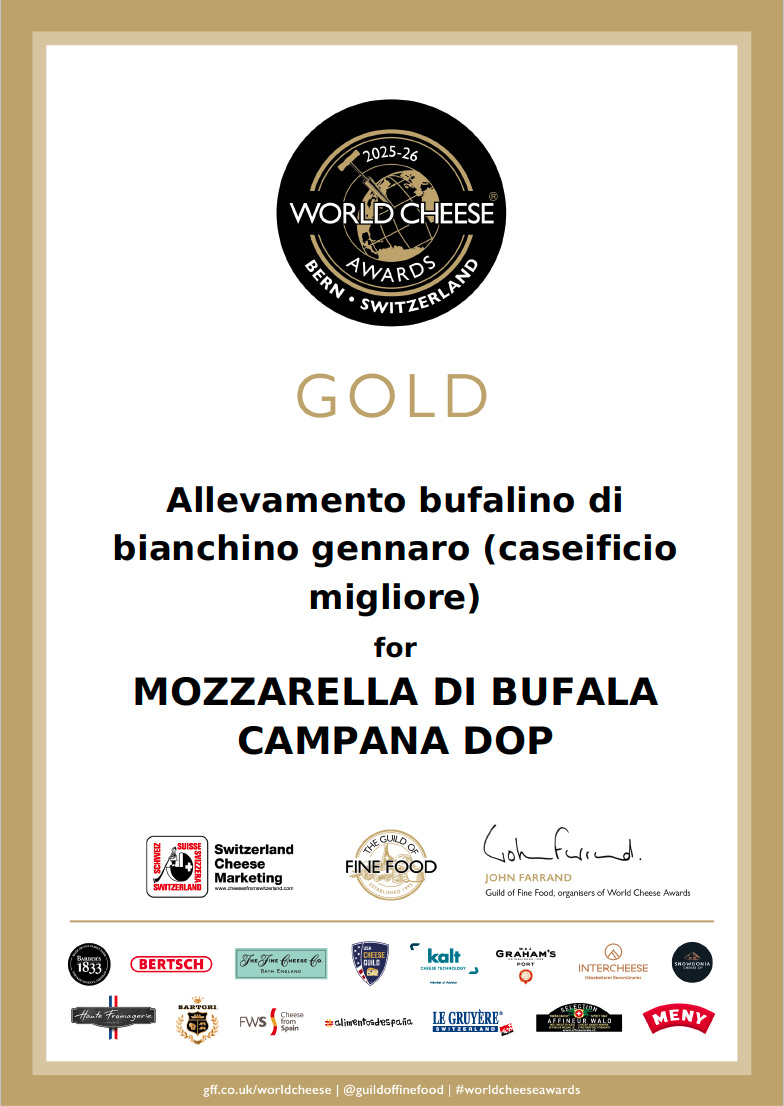Mozzarella di Bufala DOP CASEIFICIO MIGLIORE 125g Mozzarella BUFFEL FÄRSK