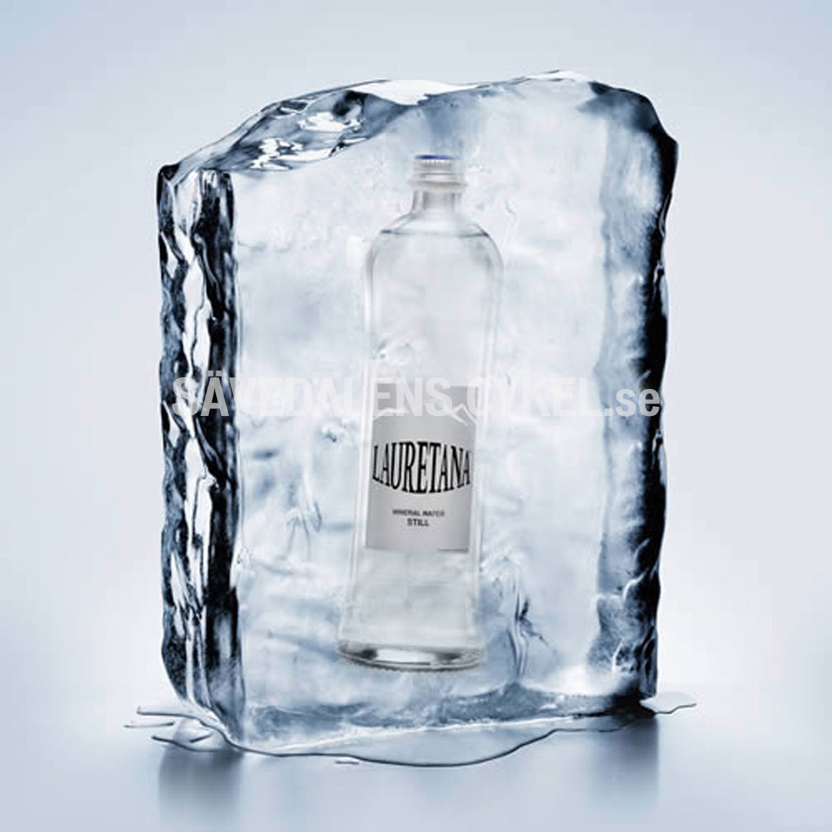 LAURETANA Sparkling Water - 33 cl